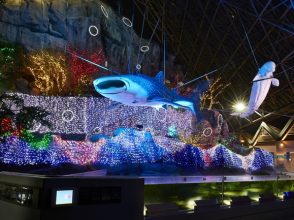 横浜・八景島シーパラダイス「アクアナイト・ラバーズ」