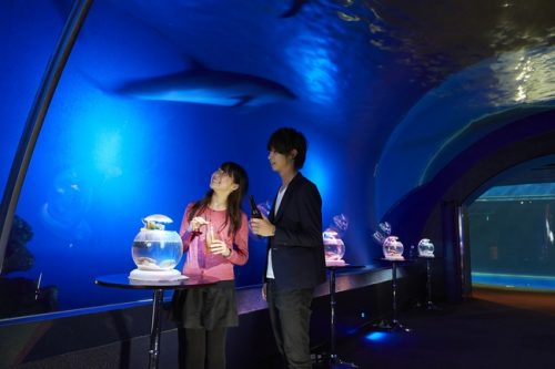 横浜・八景島シーパラダイス「アクアナイト・ラバーズ」