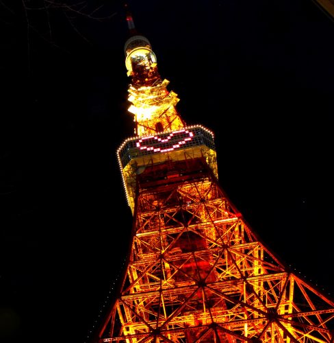 ライトダウンストーリーｍ