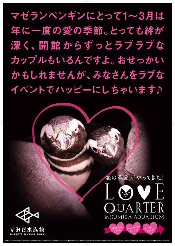 LOVEQUAURTER_keyvisual_0122_確認用