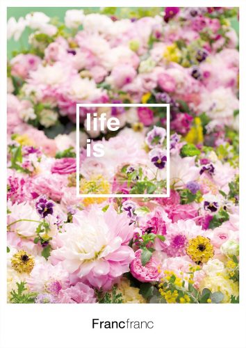 Francfranc0127++