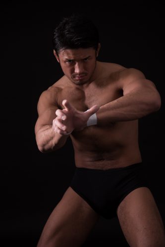 shibata1