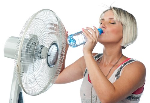 shutterstock_85807963