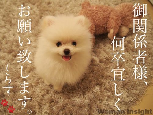 1111_edited-1