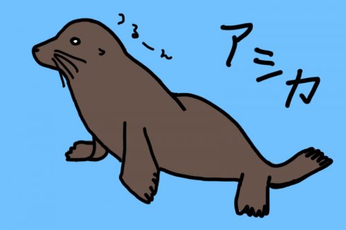 アシカ_1