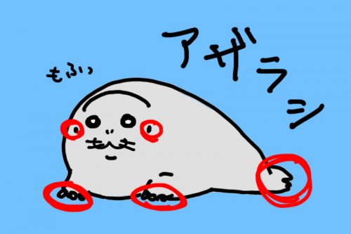アザラシ_2