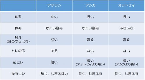 早見表
