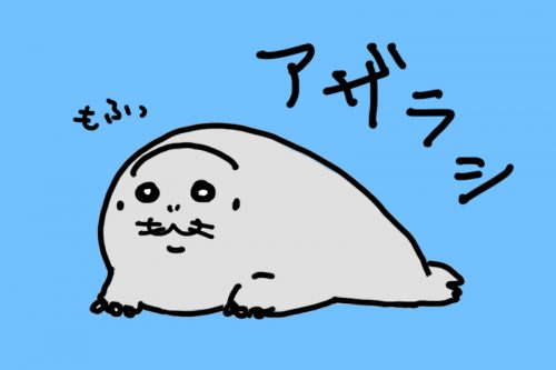 アザラシ_1