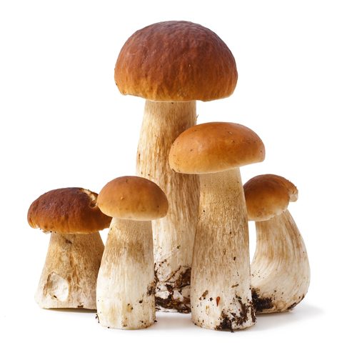 (C)shutterstock