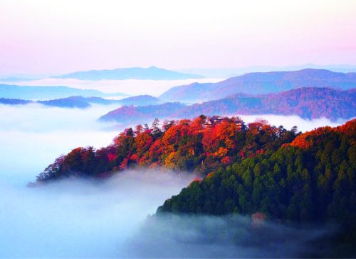 ⑤備中松山城