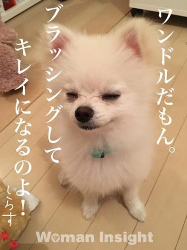 111