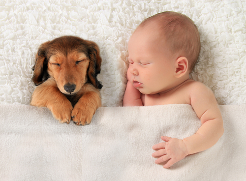(c)shutterstock