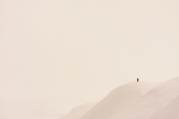 写真 2016-01-30 11 51 24 (4)