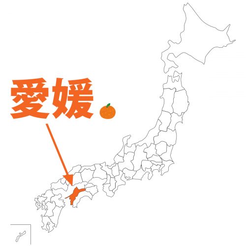 愛媛