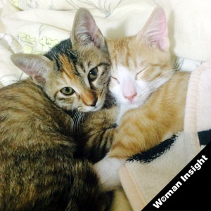 そでねこ