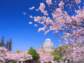 姫路城