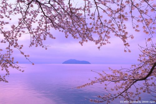 海津大崎
