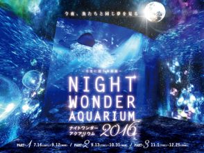 NIGHT WONDER AQUAIUM2016 新江ノ島水族館