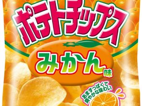 湖池屋,ポテトチップス,みかん味,残暑お見舞い,攻め