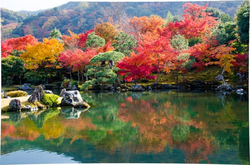 日本