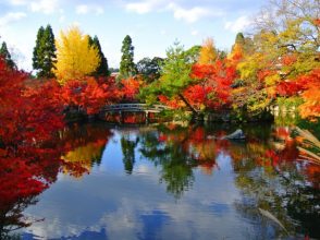 紅葉,ランキング,TOP20,旅行