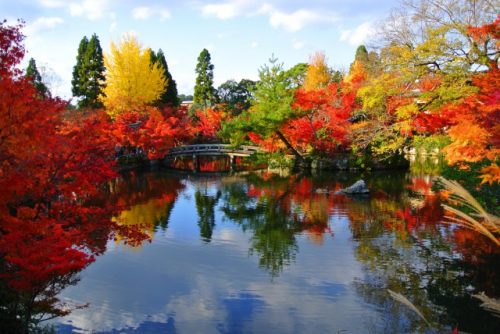 紅葉,ランキング,TOP20,旅行