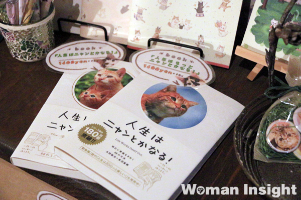 猫カフェ,てまりのおうち,人生はニャンとかなる,エキゾチックショートヘア