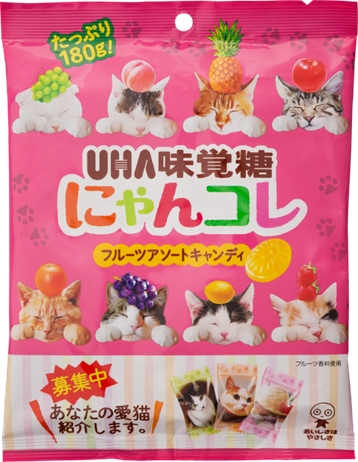 パッケージ,猫,愛猫,チャンス
