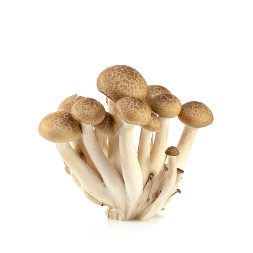 (c)Shutterstock