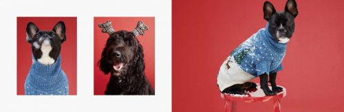 americanbeagleoutfitters_2