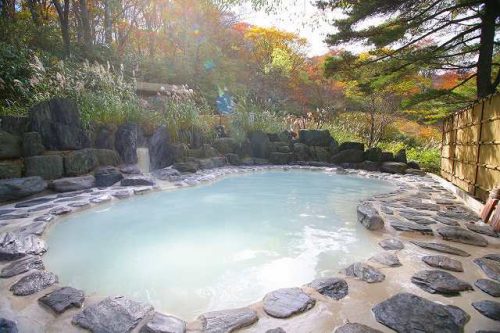 人気温泉,野地温泉ホテル