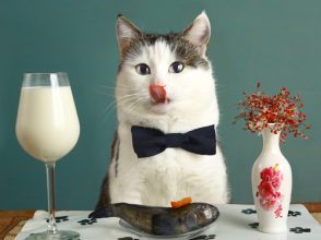 猫,与えてはいけない,危険,食べ物