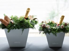 レフレシール キョウコ フジタ