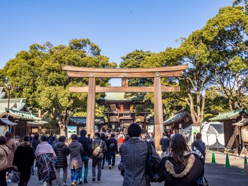 (c)Takashi Images/shutterstock.com