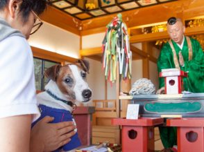 犬,厄年,厄払い,ペット,能蔵院