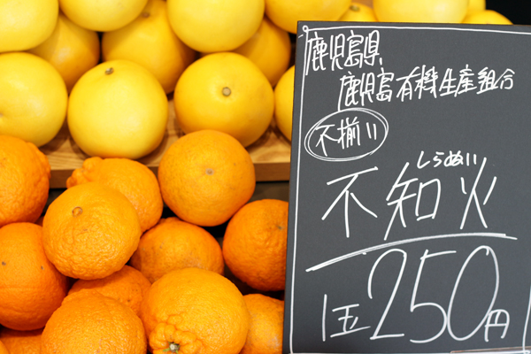 無印良品,MUJImarche,マルシェ,エコバッグ,こうしんわれ椎茸