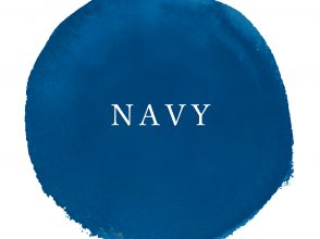 今日のカラー占い, ラッキーカラー, ネイビー