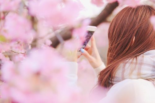 花見