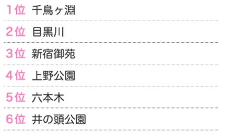 お花見グラフ