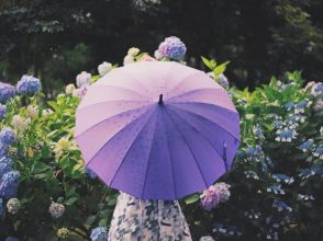 雨の日