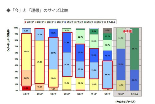 女性,胸,バスト,サイズ,調査,カップ,理想