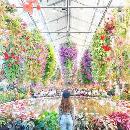 国内旅行,スポット,人気,インスタ,なばなの里