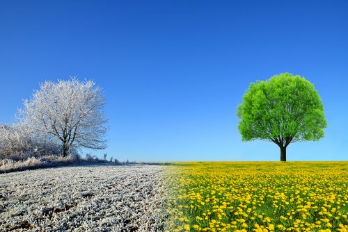 夏風邪,冬風邪,違い,特徴,対策,
