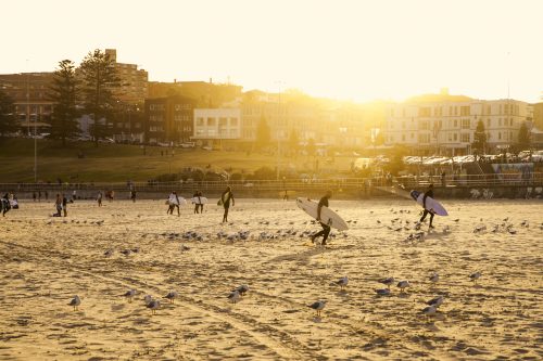 一人旅,ひとり旅,海外,人気,ランキング,サンフランシスコ