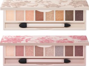 クリスマスコフレ2017,ヴィセリシェ,アイパレット