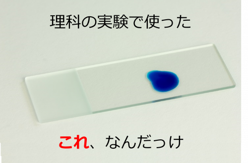 プレパラート
