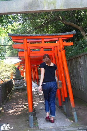 たかのさんぽ,根津神社,神社,高野茂,尾身綾子