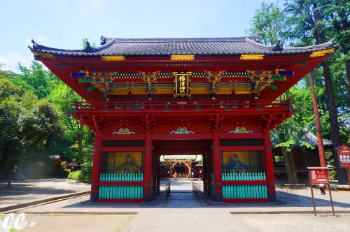 たかのさんぽ,根津神社,神社,高野茂,尾身綾子