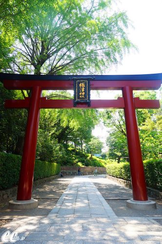 たかのさんぽ,根津神社,神社,高野茂,尾身綾子