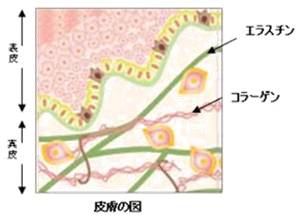 夏,肌,たるみ,対策,スキンケア
